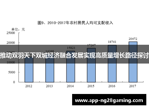 推动双羽天下双城经济融合发展实现高质量增长路径探讨