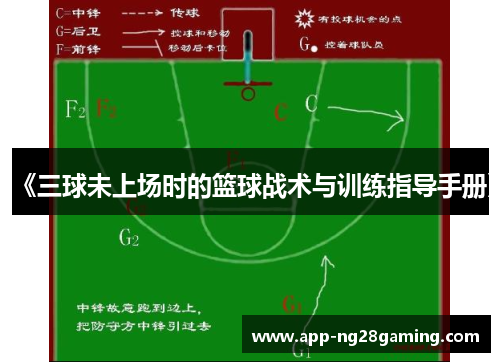 《三球未上场时的篮球战术与训练指导手册》