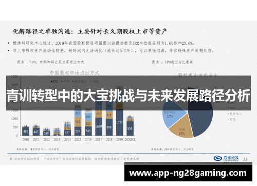 青训转型中的大宝挑战与未来发展路径分析