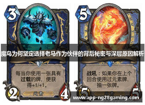 魔鸟为何坚定选择老马作为伙伴的背后秘密与深层原因解析