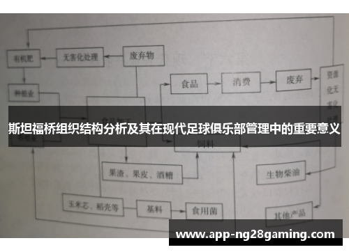 斯坦福桥组织结构分析及其在现代足球俱乐部管理中的重要意义