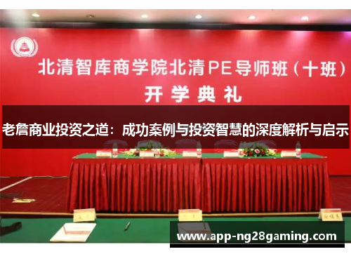 老詹商业投资之道：成功案例与投资智慧的深度解析与启示