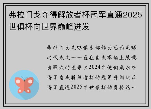 弗拉门戈夺得解放者杯冠军直通2025世俱杯向世界巅峰进发